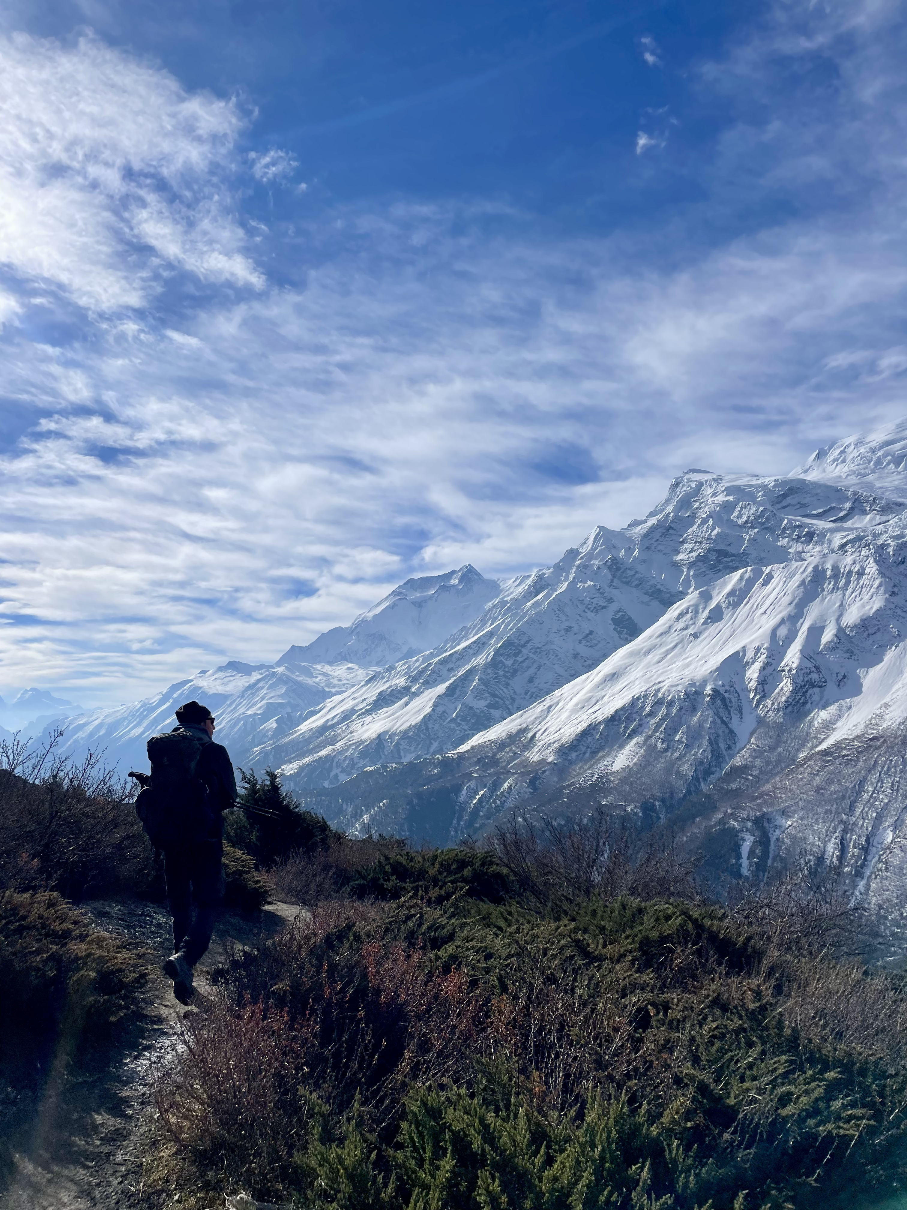 Hugo en itinérance face aux sommets enneigés des Annapurnas